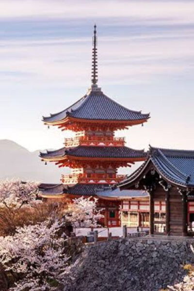 From Osaka: Kyoto Full Day Customized Private Tour - Booking and Cancellation Policies