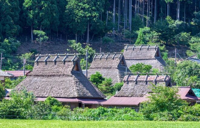 From Osaka: Kyoto Full-Day Guided Tour - Inclusions and Exclusions