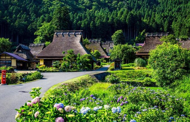 From Osaka: Kyoto Full-Day Guided Tour - Important Information