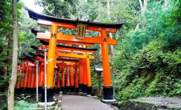 From Osaka: Kyoto Full Day Sightseeing Private Tour - Cancellation Policy