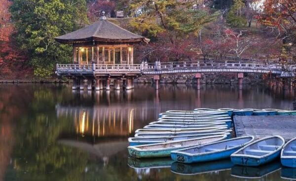 From Osaka: Kyoto Full Day Sightseeing Private Tour - Customer Feedback