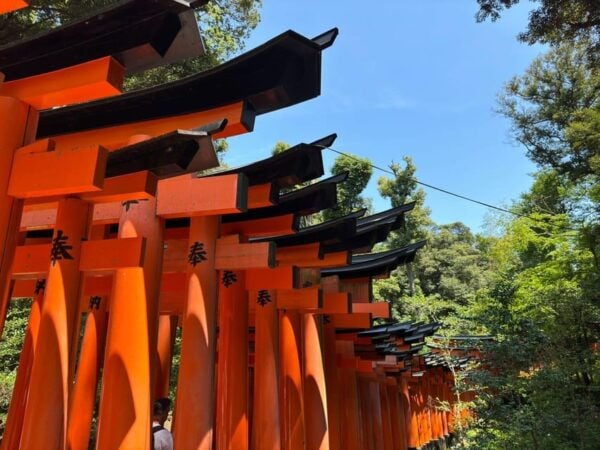 From Osaka: Kyoto Highlights One Day Private Tour - Important Information for Travelers