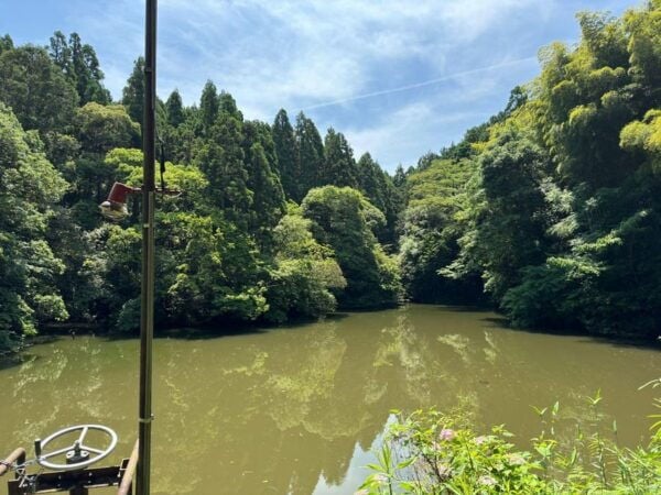 From Osaka: Kyoto Highlights One Day Private Tour - Recommended Items to Bring