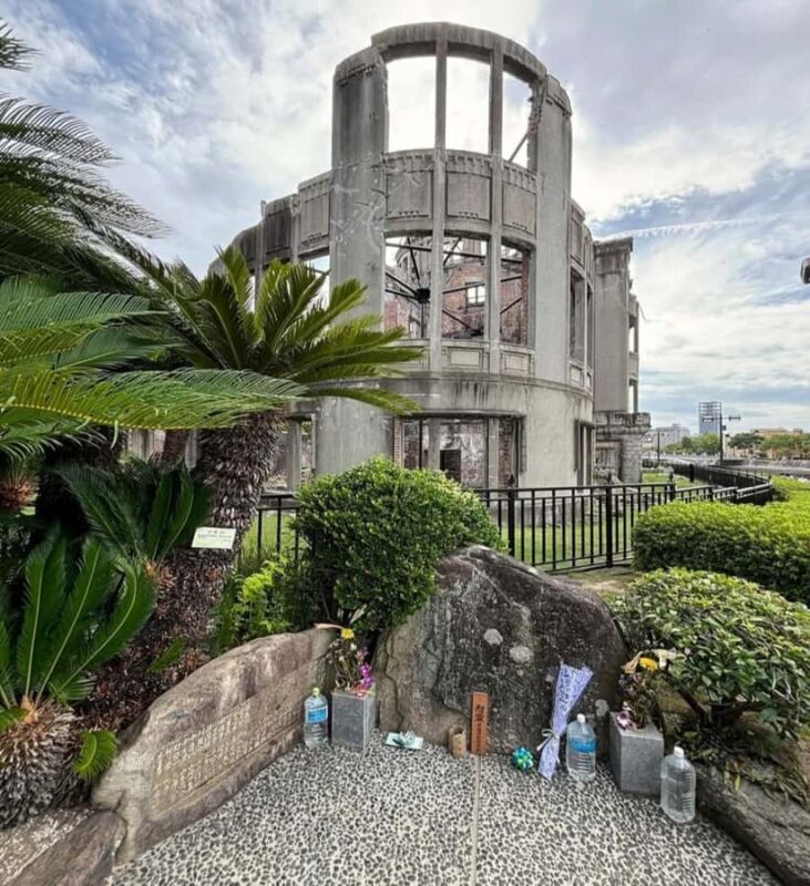 From Osaka/Kyoto: Hiroshima and Miyajima Private Custom Tour - Who Should Consider This Tour?