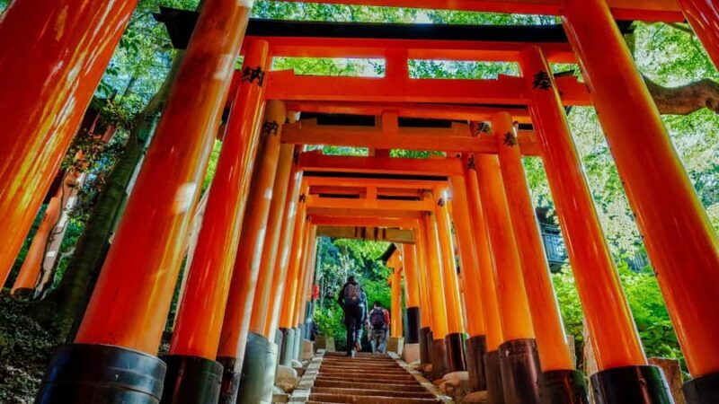 From Osaka/Kyoto: Kinkakuji, Arashiyama, FushimiInari, Nara - Good To Know