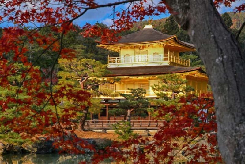 From Osaka/Kyoto: Kinkakuji, Arashiyama, FushimiInari, Nara - Final Thoughts