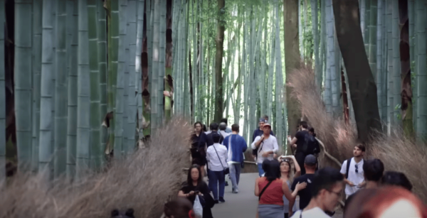 From Osaka/Kyoto: Kyoto Full-Day Sightseeing Private Tour - Accessibility Information