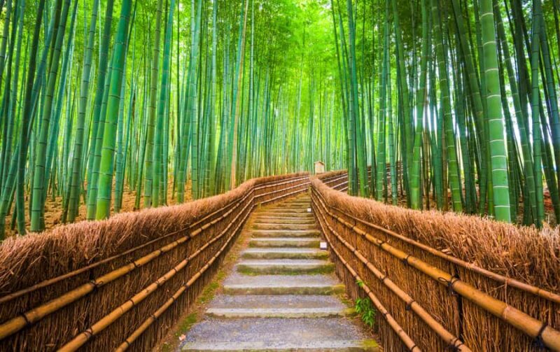 From Osaka/Kyoto: Kyoto Nara Day Trip Highlights - Good To Know