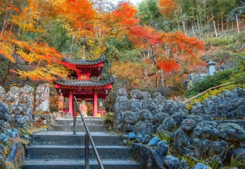 From Osaka/Kyoto: Kyoto Nara Day Trip Highlights - An In-Depth Look at the Kyoto Nara Day Trip