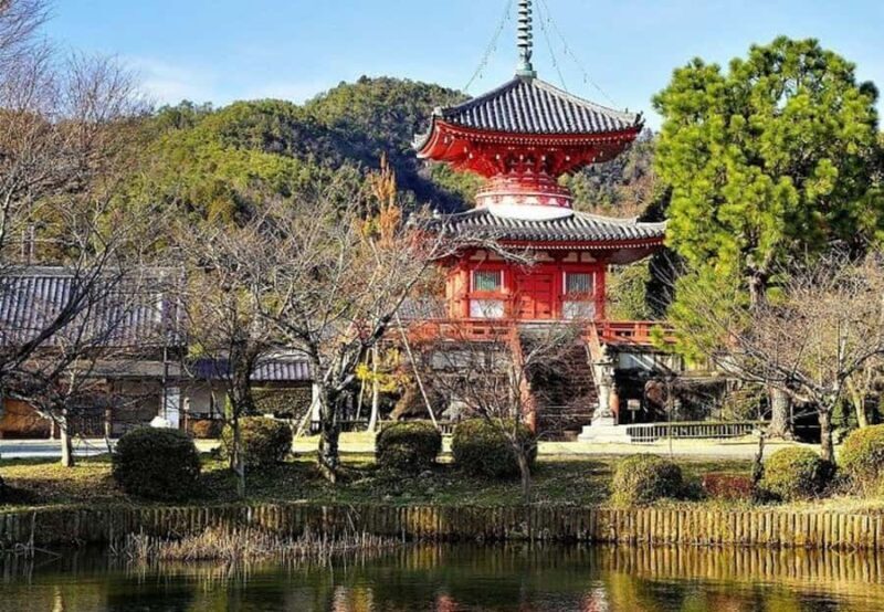 From Osaka/Kyoto: Kyoto Nara Day Trip Highlights - Final Thoughts