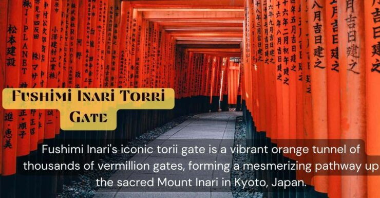 From Osaka/Kyoto: Kyoto & Nara Private Sightseeing Day Trip - Good To Know