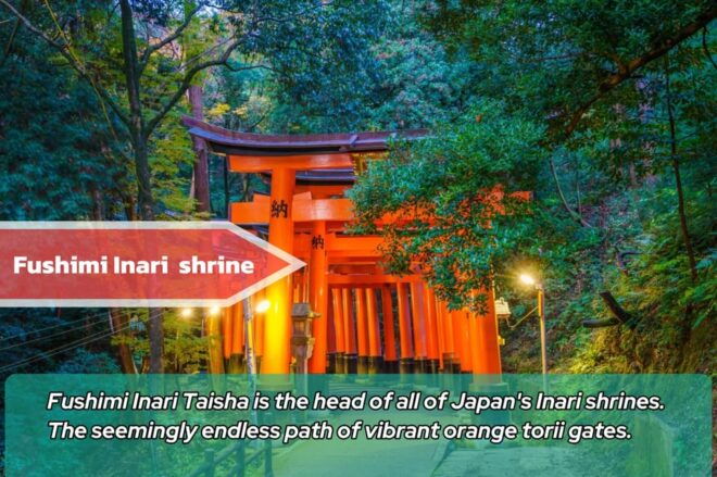 From Osaka/Kyoto: Kyoto & Nara Private Sightseeing Day Trip - Cultural Significance