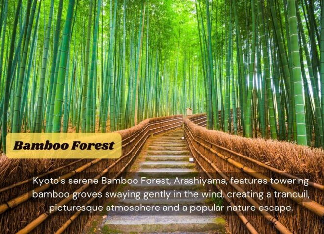 From Osaka/Kyoto: Kyoto & Nara Private Sightseeing Day Trip - Natural Attractions