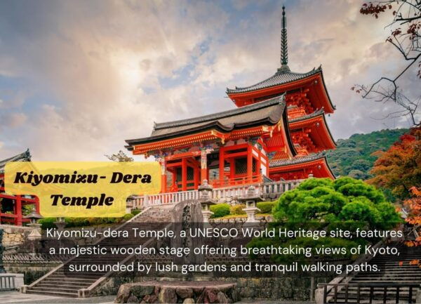 From Osaka/Kyoto: Kyoto & Nara Private Sightseeing Day Trip - Tips for a Great Trip