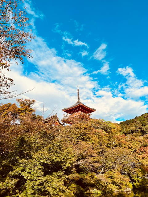 From Osaka/Kyoto: Kyoto Private Tour With Luxury Vehicle - Luxury Vehicle Comfort