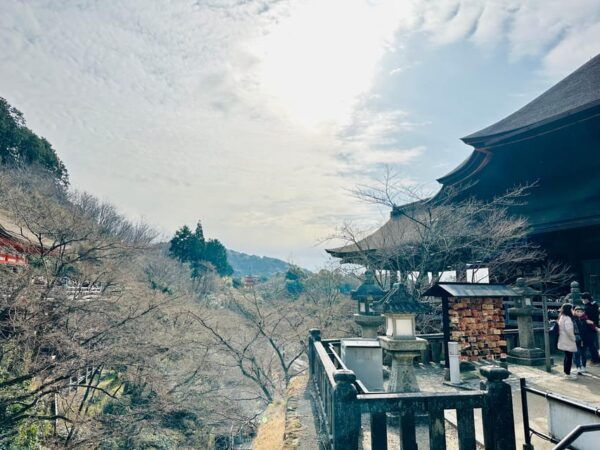From Osaka/Kyoto: Kyoto Private Tour With Luxury Vehicle - Whats Included and Excluded