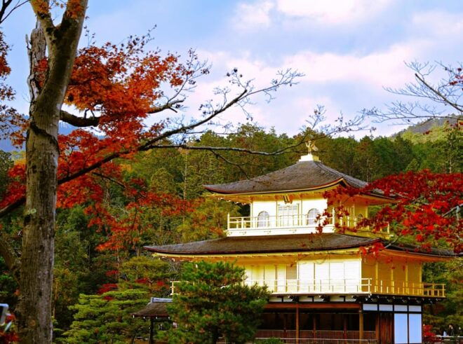 From Osaka/Kyoto: Kyoto UNESCO World Heritage Sites Day Tour - Traditional Kyoto Lunch