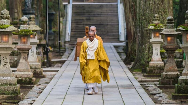 From Osaka/Kyoto: Mt. Koya & Nachi Falls Private Day Trip - An In-Depth Look at the Experience