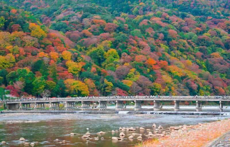 From Osaka/Kyoto: Nara & Kyoto Day Trip - Temples & Deer - The Experience: What to Expect from Start to Finish