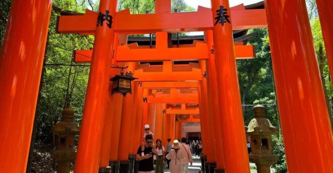 From Osaka: Kyoto & Nara One-Day Private Tour - Included Services