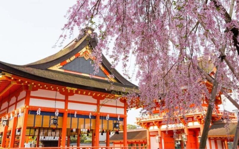 From Osaka: Kyoto, Nara/Uji Historic Cities Day Trip (Max 9) - Good To Know