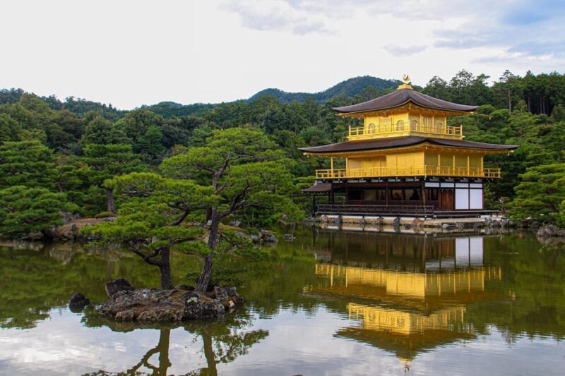 From Osaka/Kyoto: Private Kyoto and Nara Day Trip - An In-Depth Look at the Tour Experience