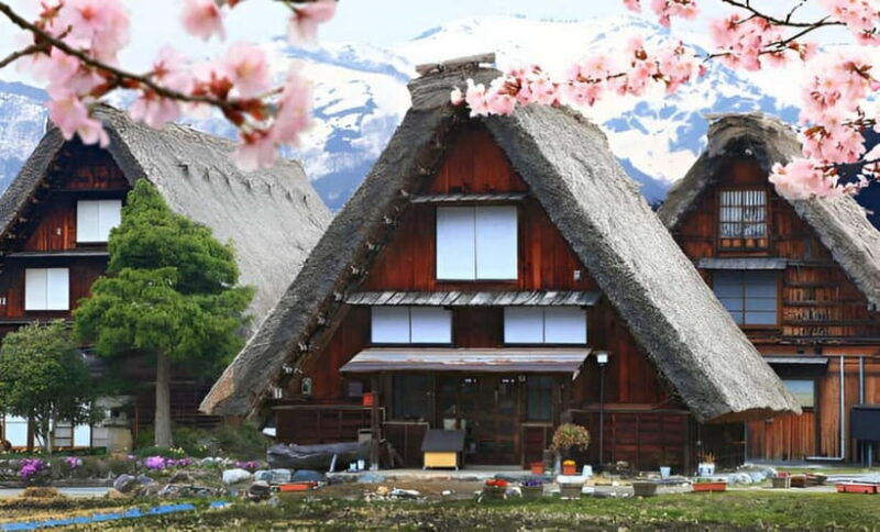 From Osaka/Kyoto: Shirakawa-go and Gokayama Day Tour - Panoramic Views and Observation Decks