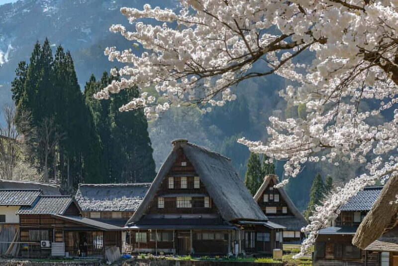 From Osaka/Kyoto: Shirakawa-go and Gokayama Day Tour - An In-Depth Look at the Tour