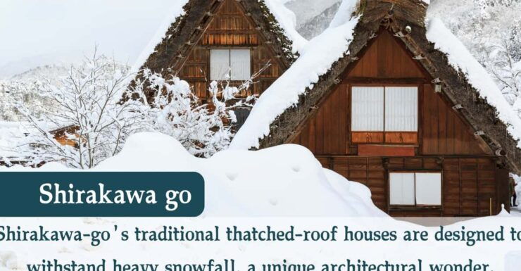 From Osaka/Kyoto: Shirakawago and Takayama Day Trip - Good To Know