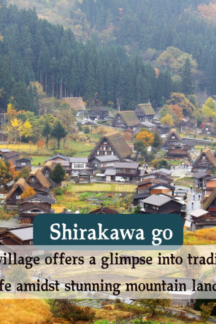 From Osaka/Kyoto: Shirakawago and Takayama Day Trip - Accessibility Features