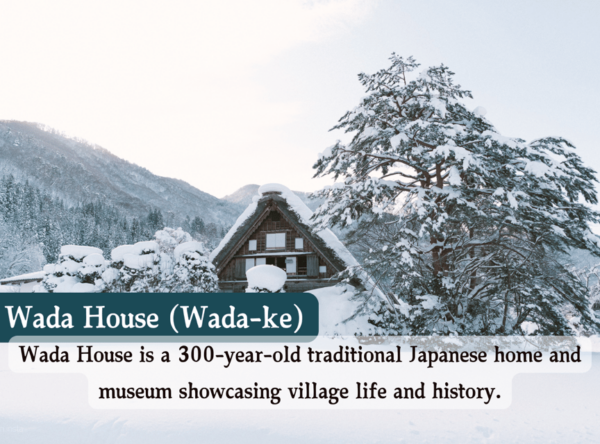 From Osaka/Kyoto: Shirakawago and Takayama Day Trip - Booking Information