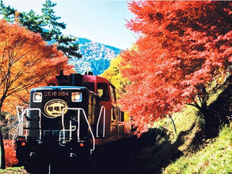 From Osaka: Kyoto Sightseeing Tour With Scenic Train Ride - Tour Highlights