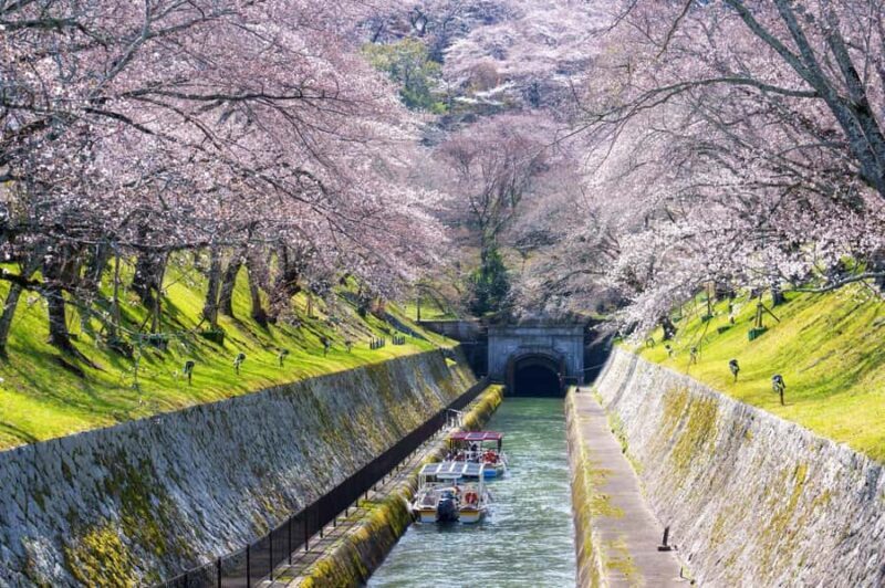 From Osaka: Kyoto Temples, Shrines & Cherry Blossom Day Trip - Good To Know
