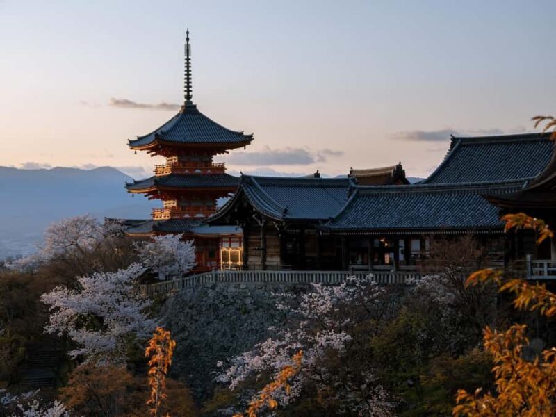 From Osaka: Kyoto Temples, Shrines & Cherry Blossom Day Trip - Pricing and Value