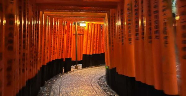 From Osaka/Kyoto:Private Kyoto-Nara Day Tour - Inclusions of the Tour