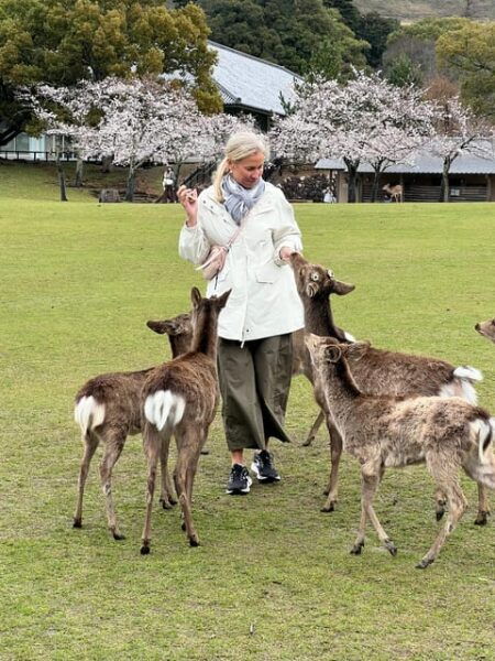 From Osaka/Kyoto:Private Kyoto-Nara Day Tour - Frequently Asked Questions