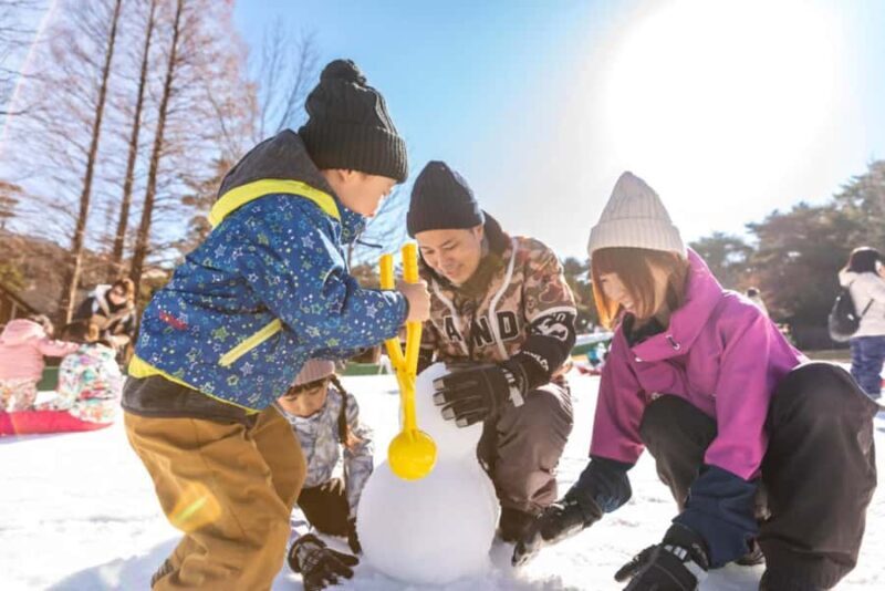 From Osaka: Mt. Rokko Snow, Crab Buffet & Strawberry Picking - Good To Know