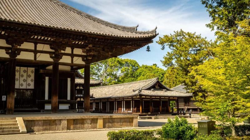 From Osaka: Nara 6 World Heritage Sites Day Tour with Guide - An In-Depth look at the Nara Day Tour