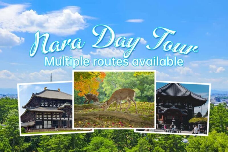 From Osaka: Nara Private Customizable Day Tour - The Flexibility of a Private, Fully Customizable Experience