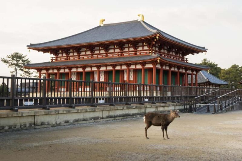 From Osaka: Nara Private Customizable Day Tour - What’s Not Included and What to Budget For