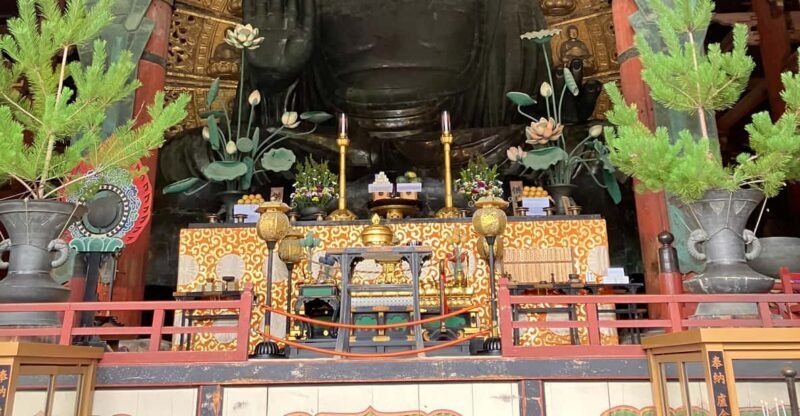 From Osaka: Nara Private Tour with Meet-Up at Your Hotel - An In-Depth Look at the Nara Private Tour