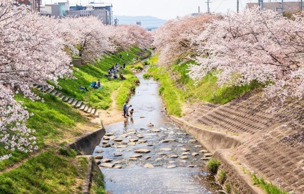 From Osaka: Nara, Uji Matcha Experience and Hot Spring Tour - Customer Reviews and Ratings