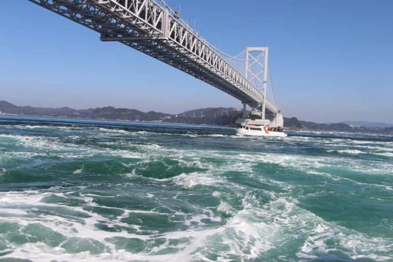 From Osaka: Naruto Whirlpool Boat & Awa Odori 1Day Bus Tour - Good To Know