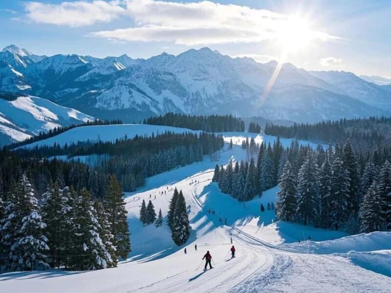 From Osaka or Kyoto: Hakodateyama & Okuibuki Ski 2-Day Trip - The Perfect Winter Escape: An In-Depth Look