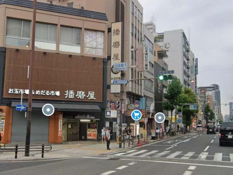 From Osaka or Kyoto: Hakodateyama & Okuibuki Ski 2-Day Trip - What Makes This Tour Special?