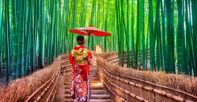 From Osaka or Kyoto: Kyoto and Nara Private Day Trip - Transportation Details