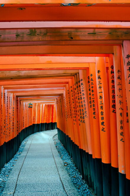 From Osaka or Kyoto: Kyoto and Nara Private Day Trip - Accessibility Features