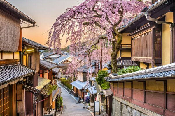 From Osaka or Kyoto: Kyoto and Nara Private Day Trip - Customer Feedback