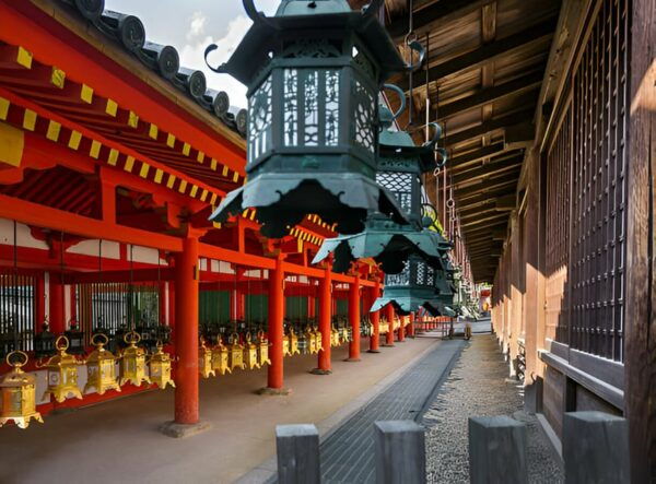 From Osaka or Kyoto: Kyoto and Nara Private Day Trip - Frequently Asked Questions
