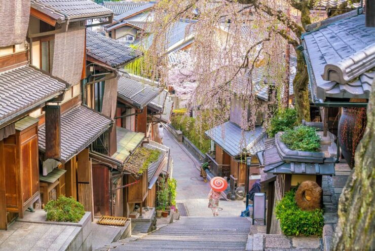 From Osaka or Kyoto : Kyoto & Nara Private Tour - Customizable Itinerary Options